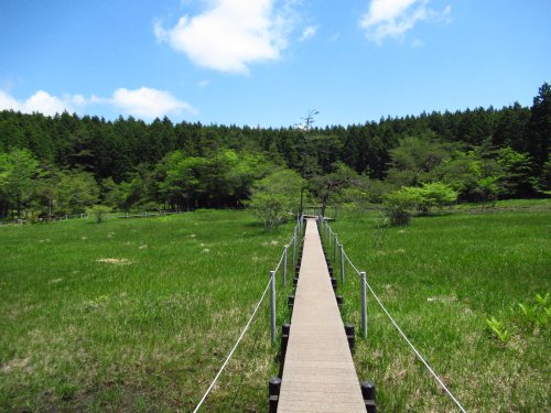 黒の田東湿地