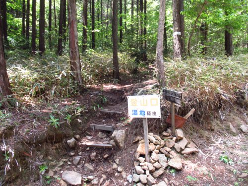 登山口