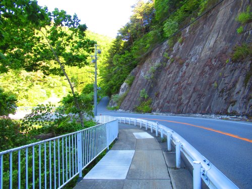 国道256号線