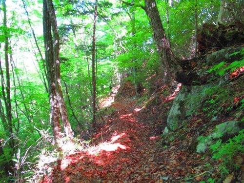 登山道