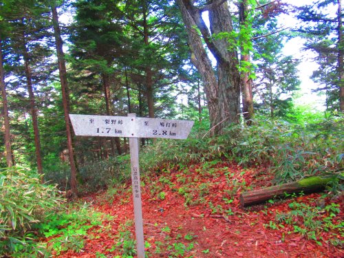 松沢コース分岐