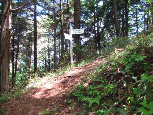 登山道
