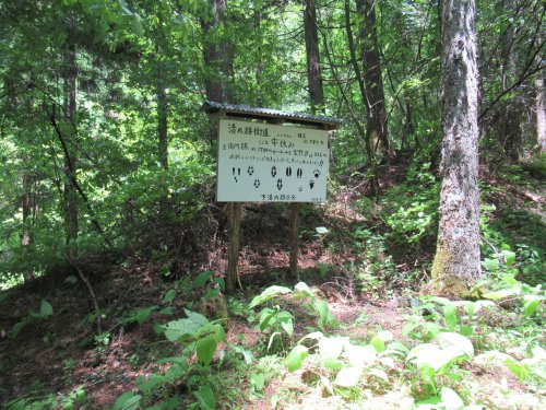 登山道