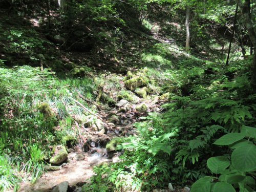 登山口