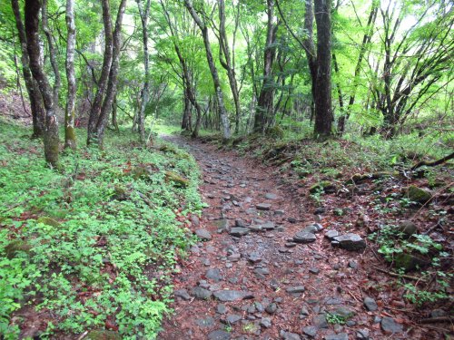 登山道
