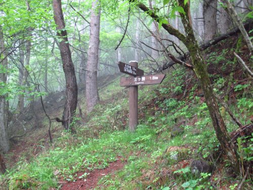登山道