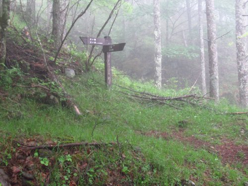登山道