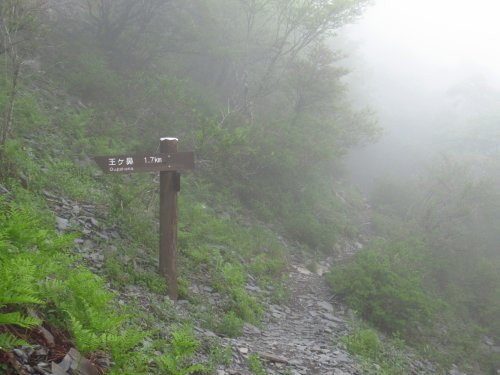 登山道