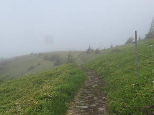 登山道