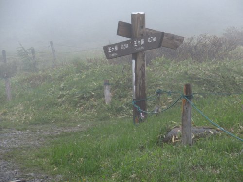 登山道