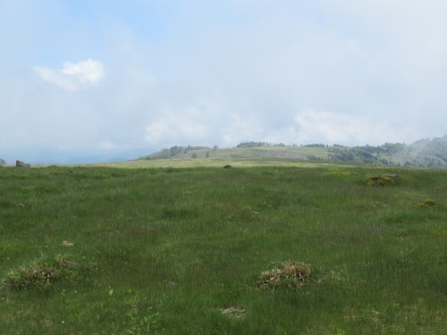 登山道