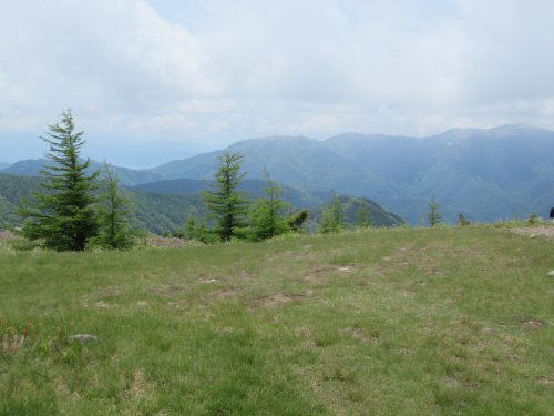 登山道