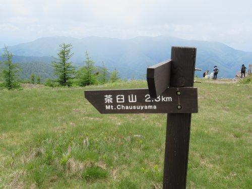 登山道