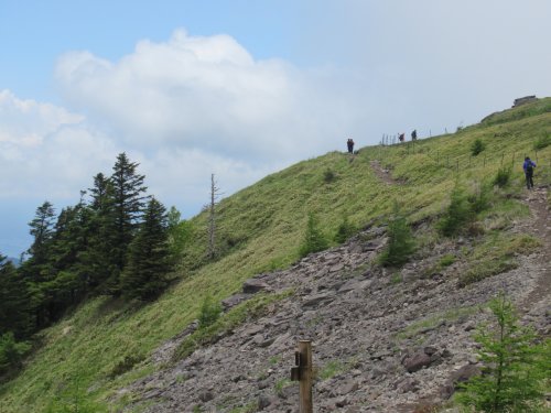 登山道