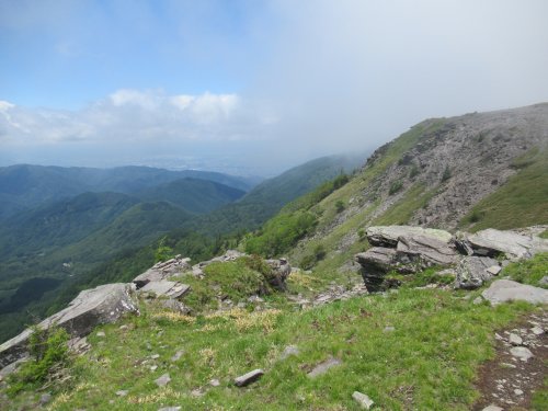 登山道