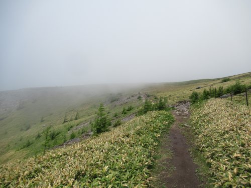 登山道