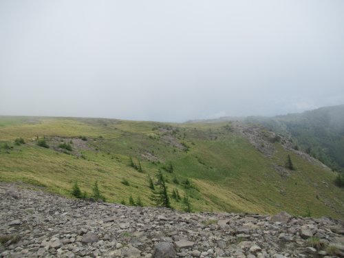 登山道