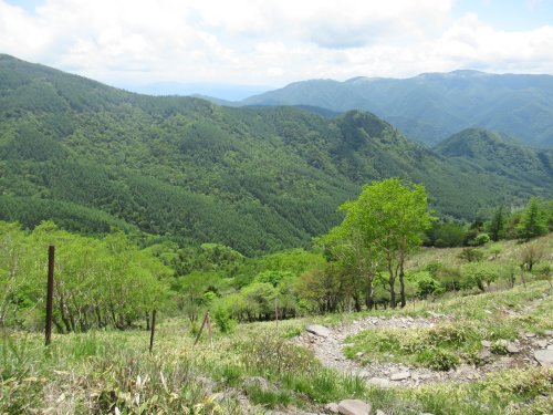 登山道