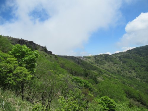 登山道