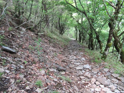 登山道