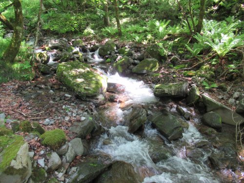 登山道