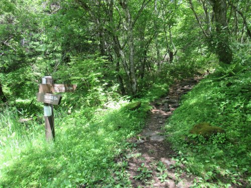 登山道
