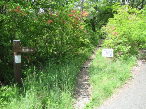 百曲がりコース登山口