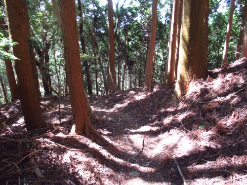 福部谷林道ルート分岐
