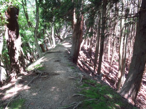 高座原ルート分岐