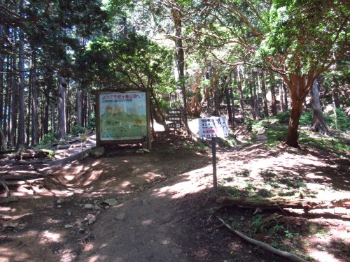 画像18