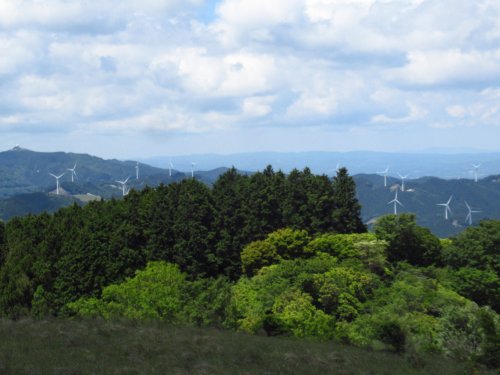 画像28
