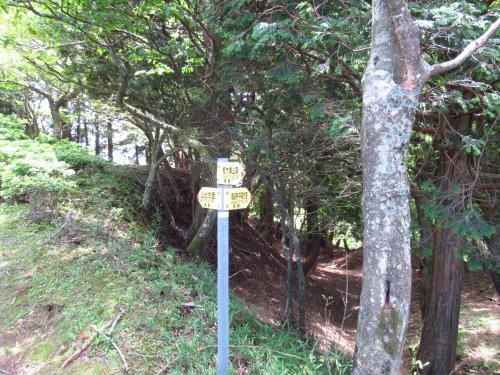 画像31