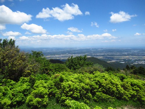 画像34
