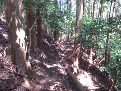 画像39