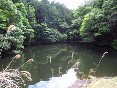画像40