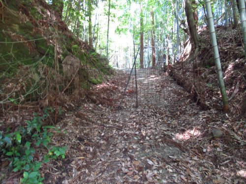 池めぐりルート登山口