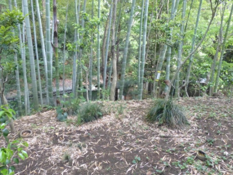 画像8