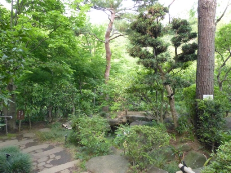 画像9