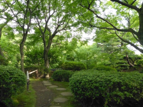 画像11