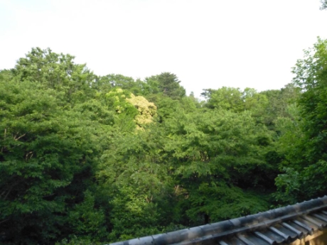 画像12
