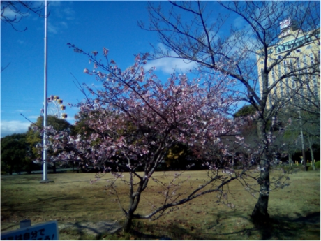 画像6