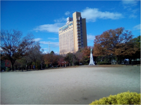 画像8