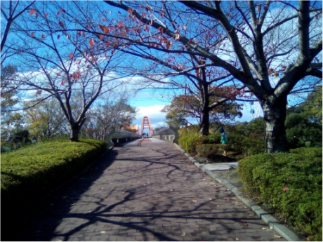 画像10