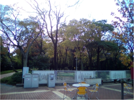 画像16