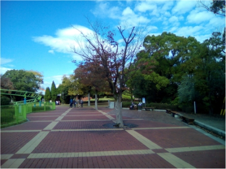 画像17