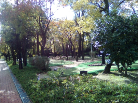 画像18