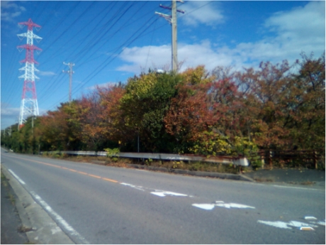画像21