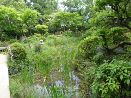画像1