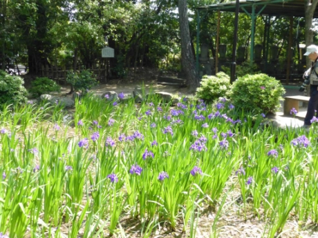 画像2