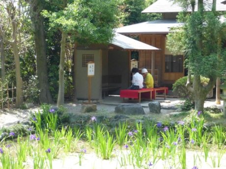 画像8